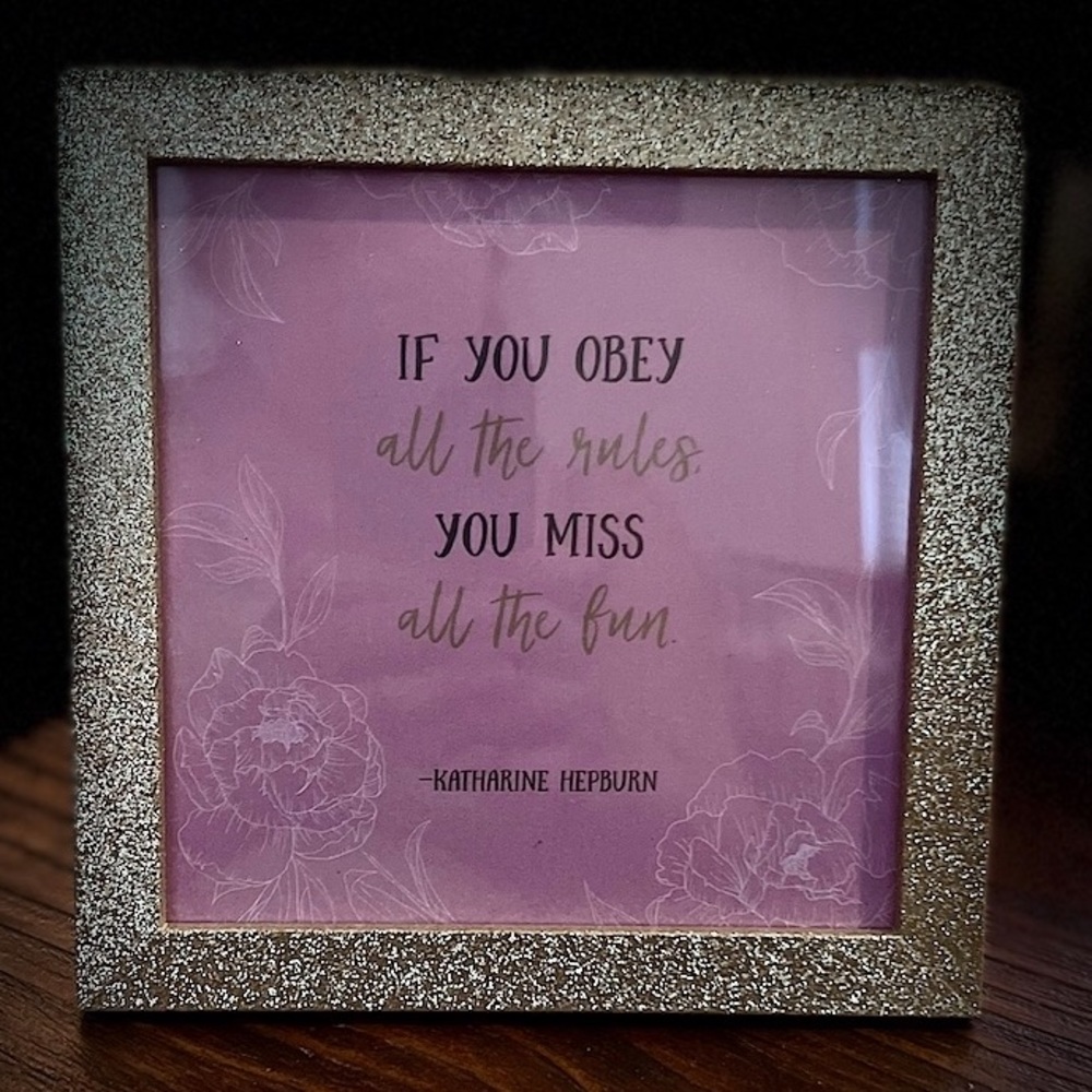 If you obey all the rules you miss all the fun” Motivational Frame